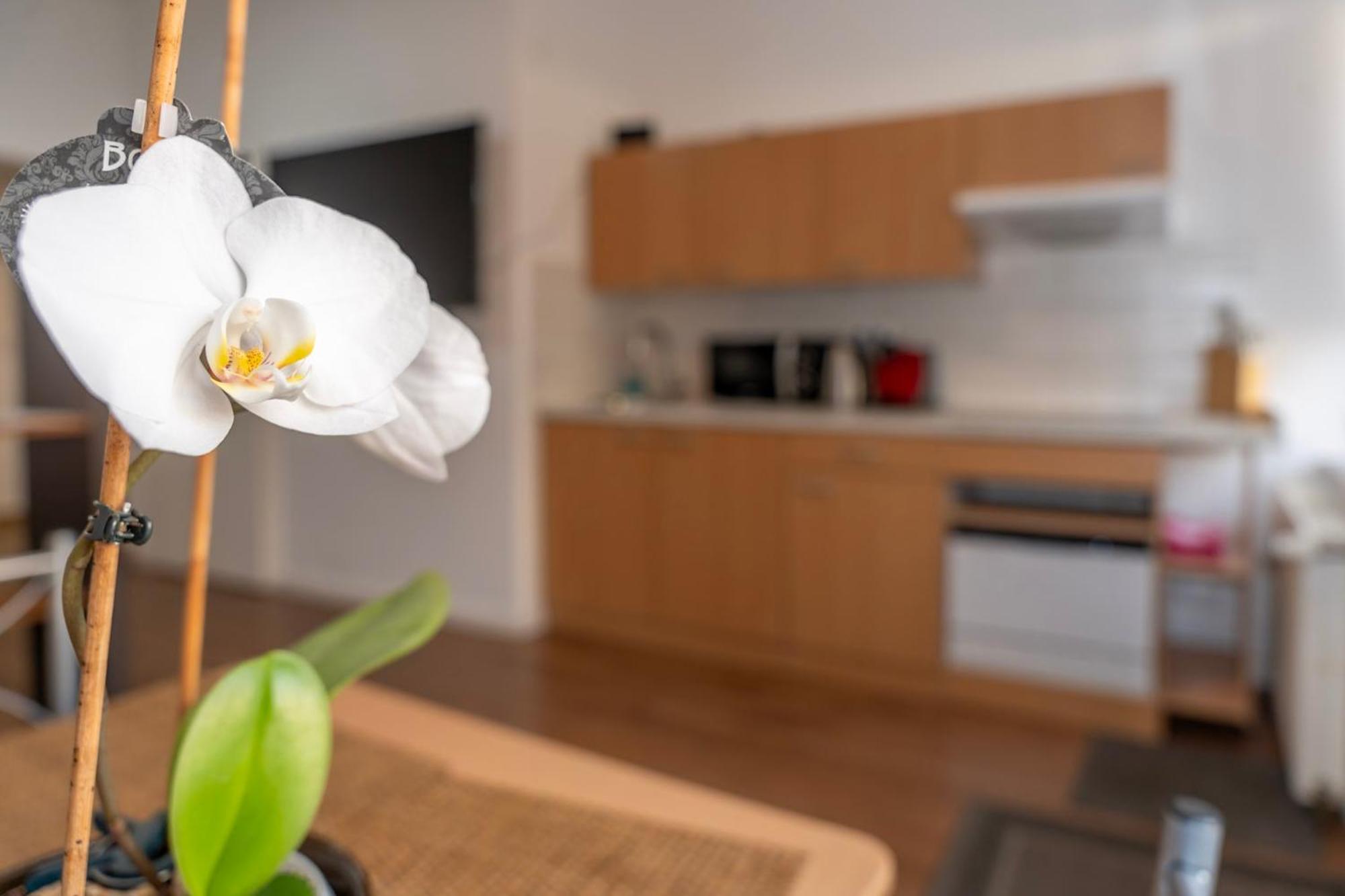 Cosy Nest - Apartment By Comfort Housing Falkensee Εξωτερικό φωτογραφία
